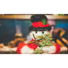 Ring in the Holiday Season with Cannabis Holiday Decorations